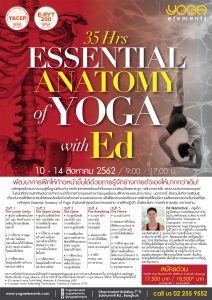 Essential Anatomy of Yoga