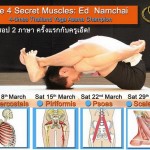 The 4 Secret Muscles