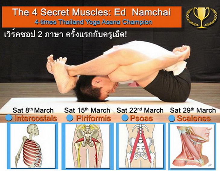 The 4 Secret Muscles