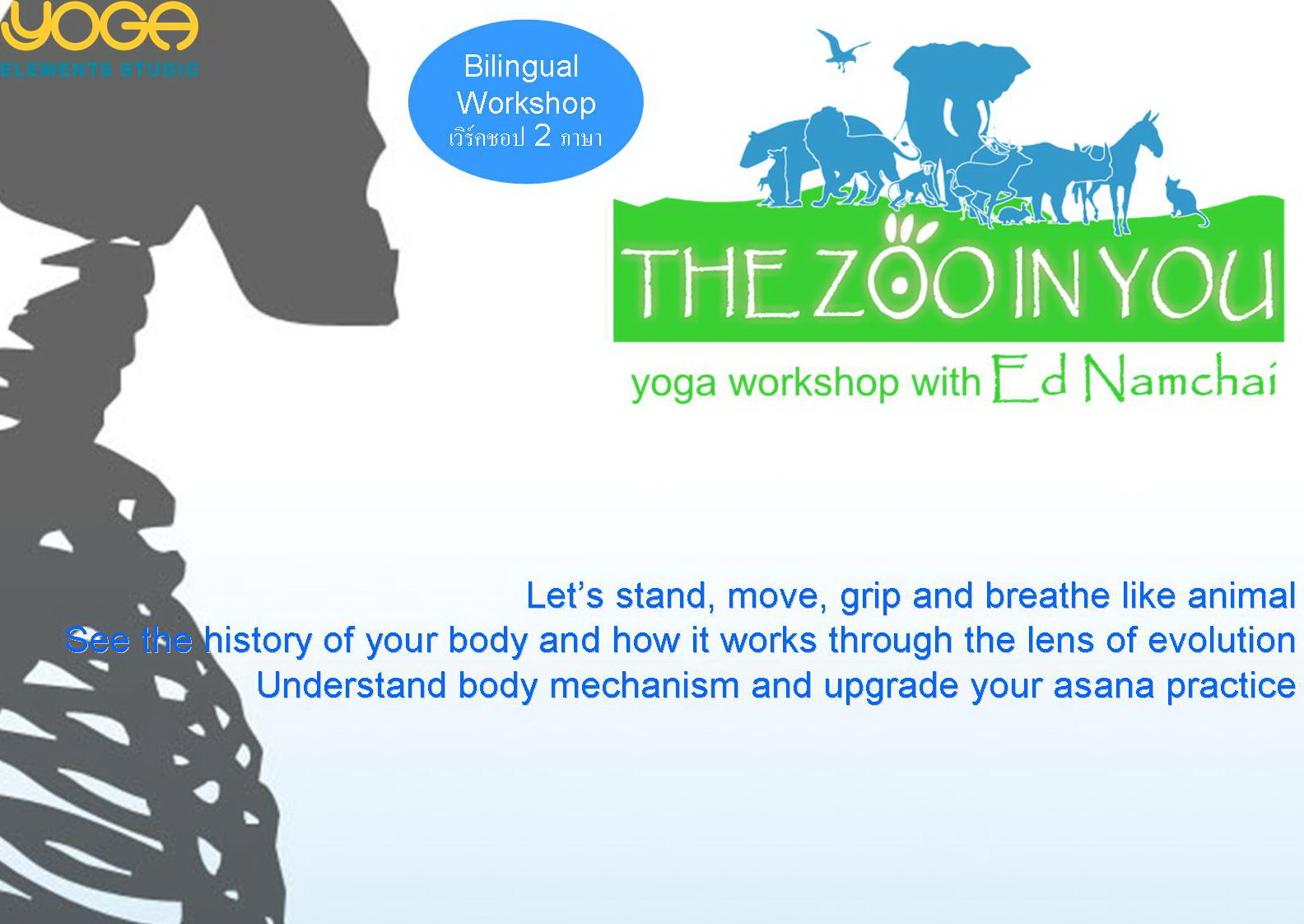 The Zoo in You Yoga Workshop with Ed Namchai in Bangkok, Thailand