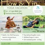 Flow & Yin Yoga Vacation