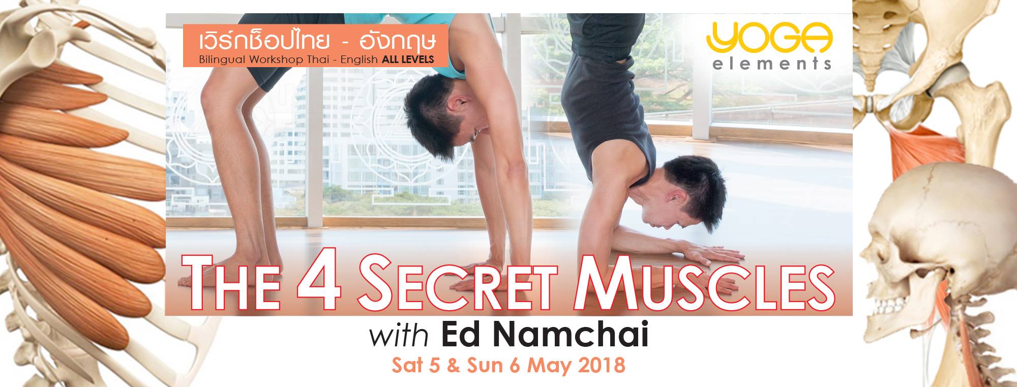 The 4 Secret Muscles with Ed Namchai