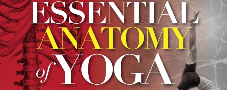 Essential Anatomy of Yoga with Ed