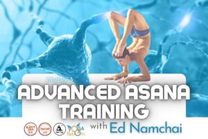 Advanced Asana Training with Ed Namchai - Rayong 2022