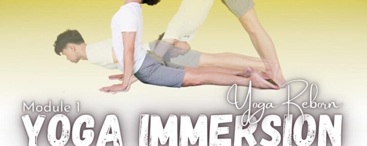 Yoga Immersion with Ed – Phuket 2022