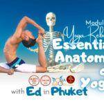 Essential Anatomy of Yoga with Ed - Phuket 2022