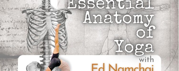 Essential Anatomy of Yoga with Ed Namchai – Rayong 2022