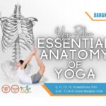 Essential Anatomy of Yoga - Bangkok 2022