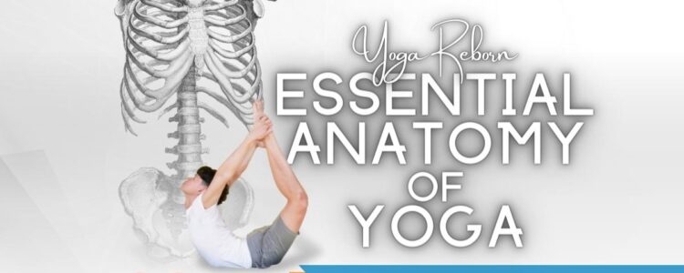 Essential Anatomy of Yoga – Bangkok 2022