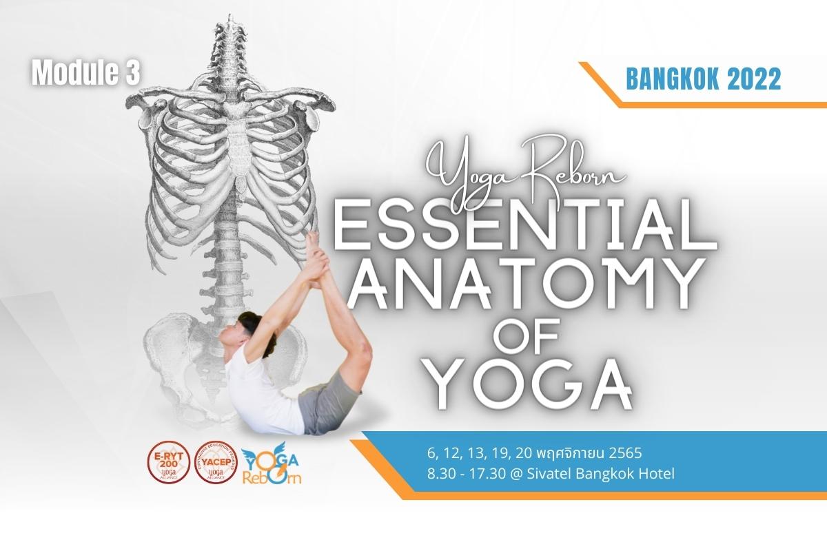 Essential Anatomy of Yoga - Bangkok 2022